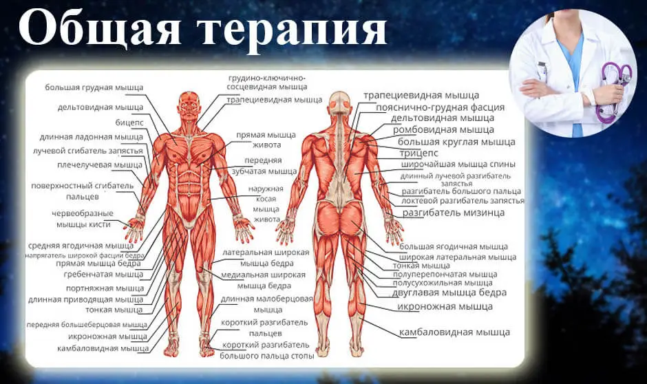 Консультация терапевта в санаторий Сарыагаш